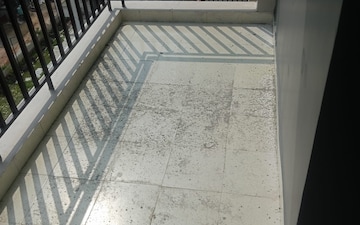 4 BHK Builder Floor For Sale in Sector 85