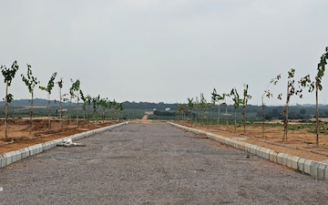 Plot For Sale in Tukkuguda