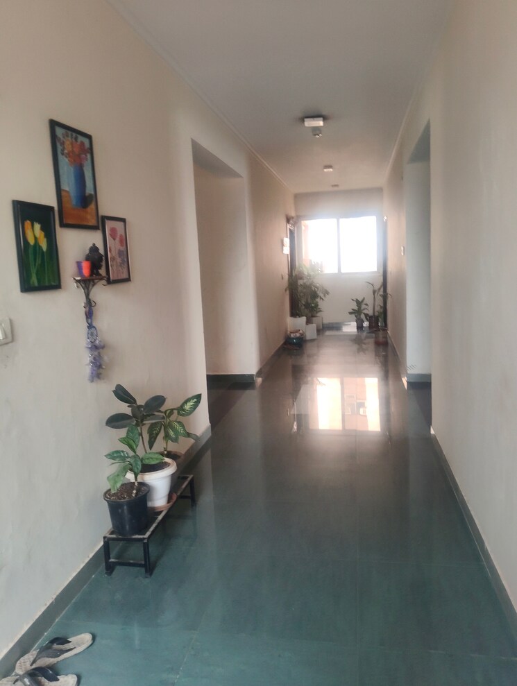 undefined, orchid-petals 3 Bedroom 2061 Sq.Ft. Apartment In Sector 49 Gurgaon 9156677