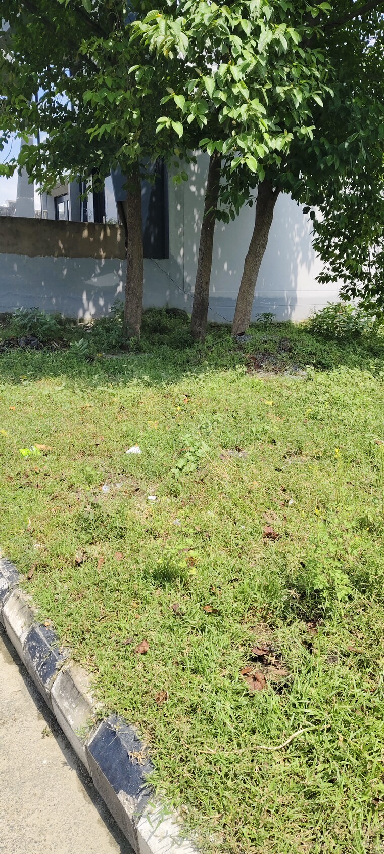 Nearby, kingwood-enclave  200 Sq.Mt. Plot In Wave City Ghaziabad 9156730