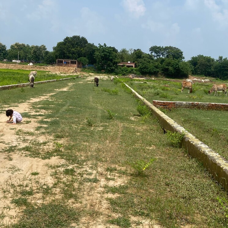 undefined, kisan path  1000 Sq.Yd. Plot In Kisan Path Lucknow 9156733