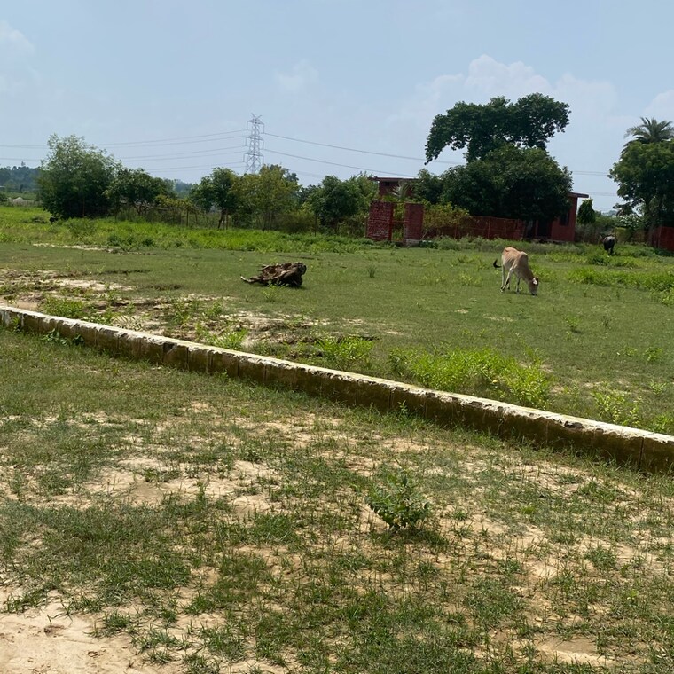 undefined, kisan path  1000 Sq.Yd. Plot In Kisan Path Lucknow 9156733