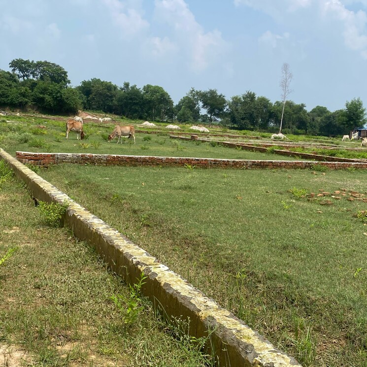 undefined, kisan path  1000 Sq.Yd. Plot In Kisan Path Lucknow 9156733