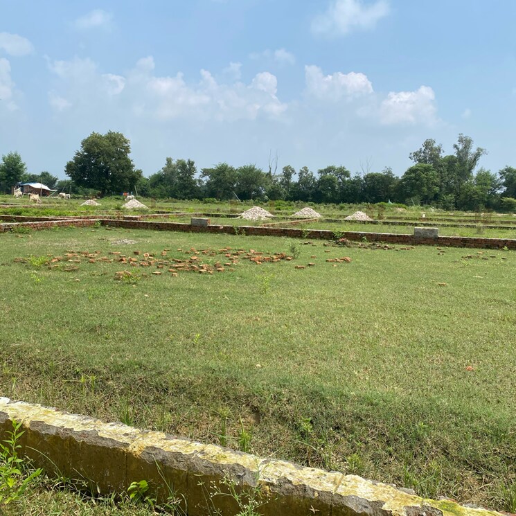 undefined, faizabad road  999 Sq.Yd. Plot In Faizabad Road Lucknow 9156784