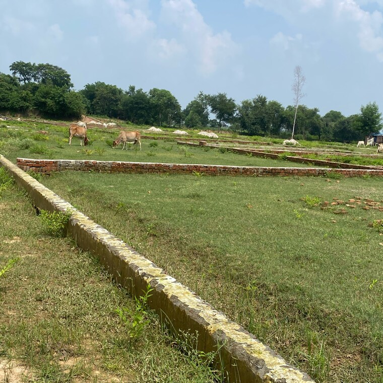 undefined, faizabad road  999 Sq.Yd. Plot In Faizabad Road Lucknow 9156784