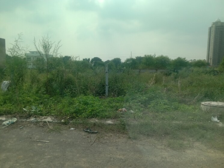 undefined, altus-prime  232 Sq.Yd. Plot In North Mullanpur Chandigarh 9157196