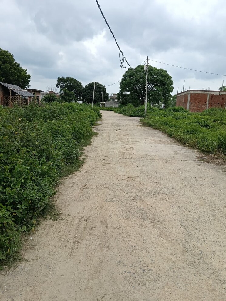 undefined, kamta  950 Sq.Ft. Plot In Kamta Lucknow 9157206