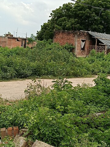 Plot Area in  Plot at Kamta – for Sale