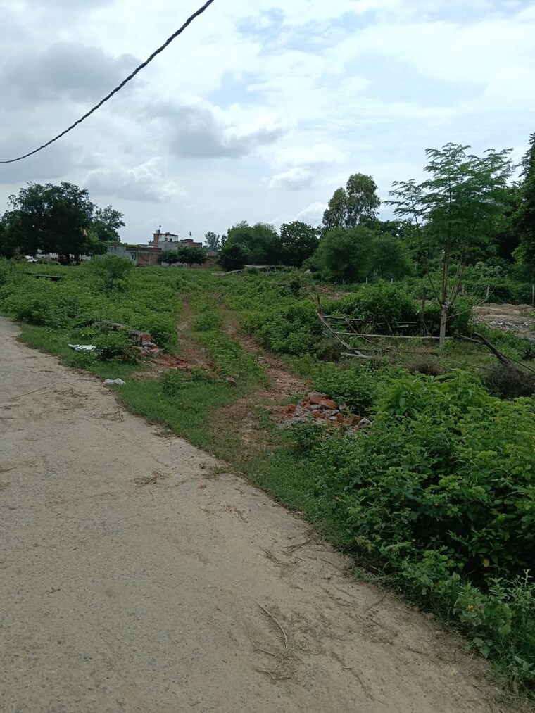 undefined, kamta  850 Sq.Ft. Plot In Kamta Lucknow 9157236