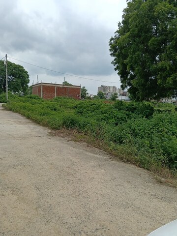 Plot Area in  Plot at Kamta – for Sale