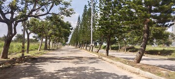 Plot Area in  Plot at Chandapura – for Sale