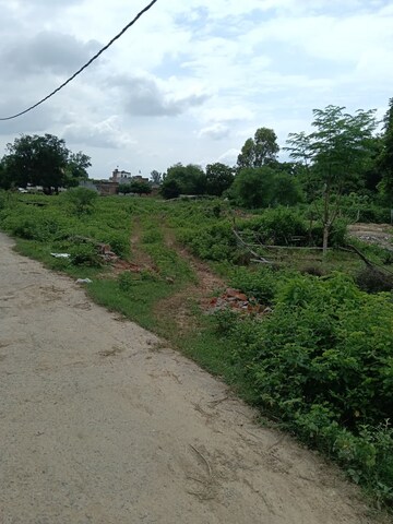  Plot For Sale in Kamta