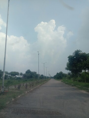 Plot Area in  Plot at Altus The Junction, Saini Majra – for Sale