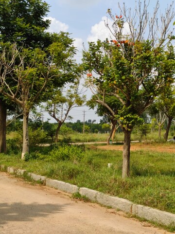  Plot – Garden View at JR Gardens, Chandapura - for Sale