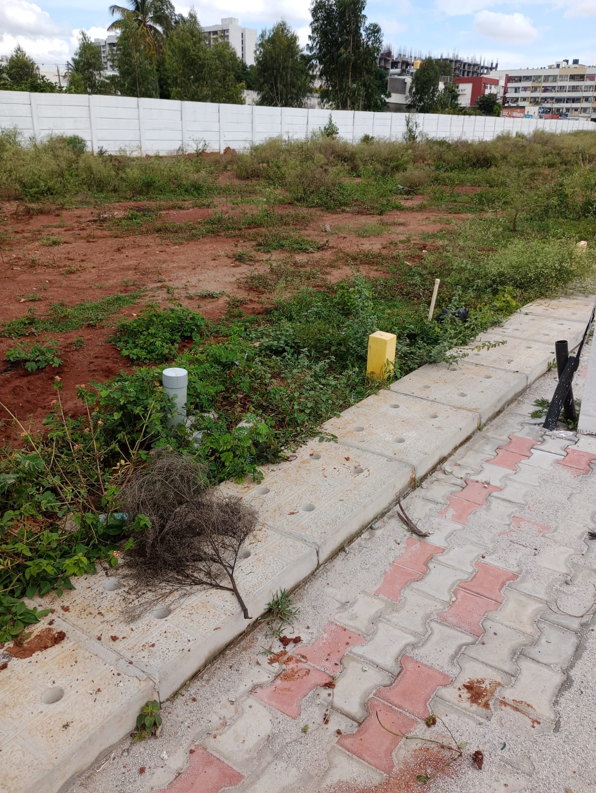 Plot For Sale in Plot 5400sft Ferns Meadow