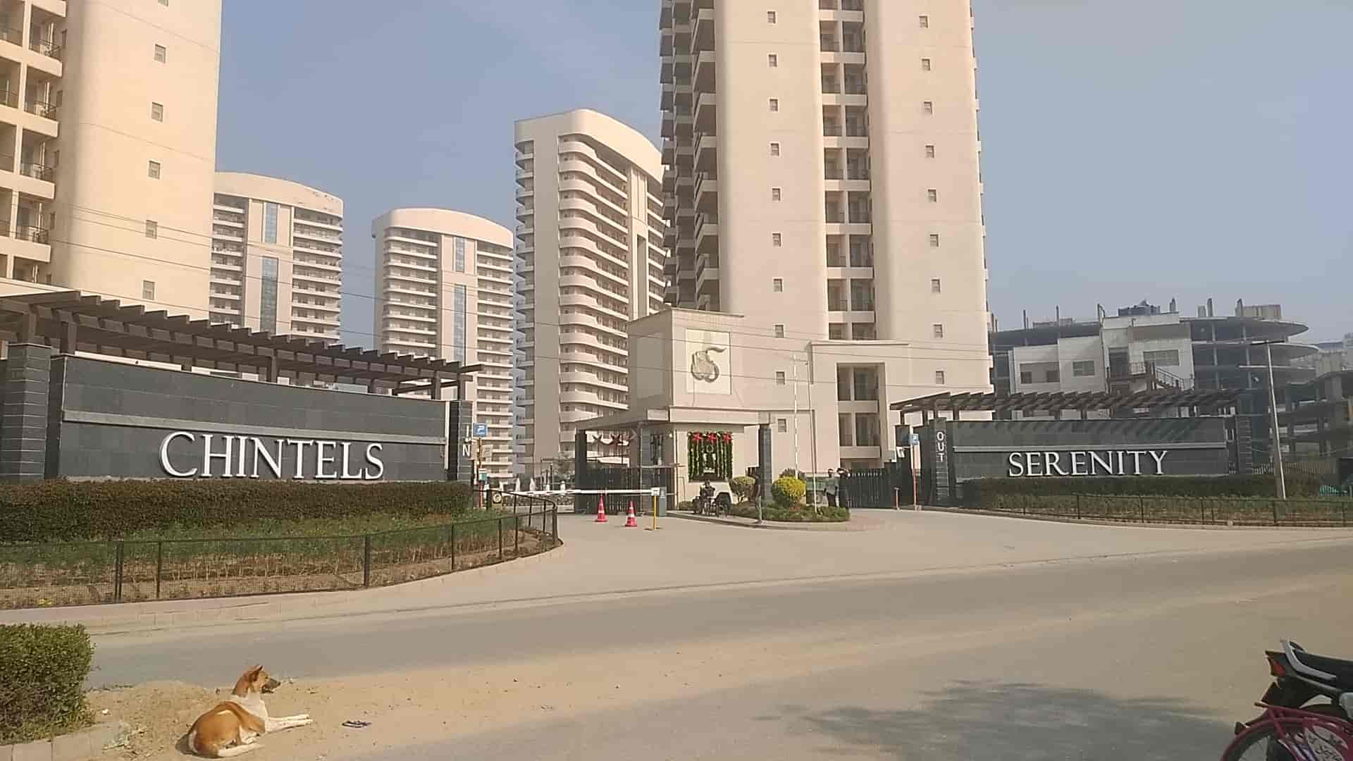 3 BHK + Servant Room,Study Room Apartment For Sale in Chintels Serenity