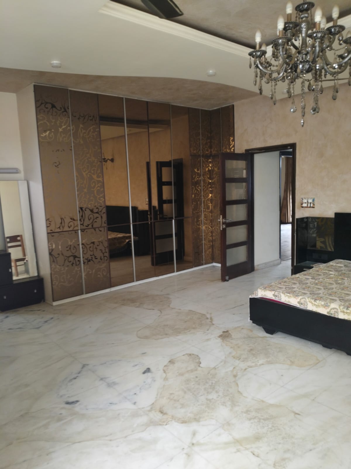 2.5 BHK Independent House For Rent in Sector 29