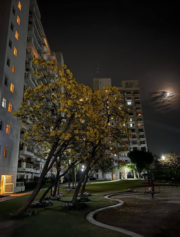 Exterior View, bestech-park-view-spa 3 Bedroom 2470 Sq.Ft. Apartment In Sector 47 Gurgaon 9157709