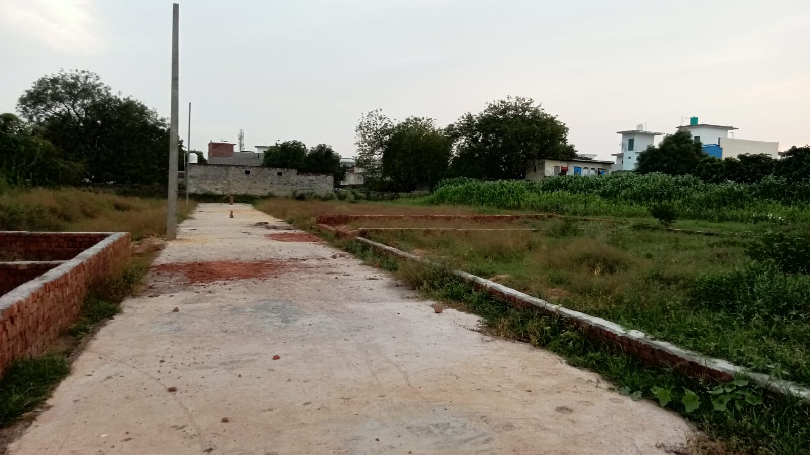 Plot For Sale in Dadri