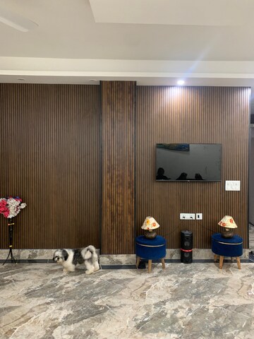 Living Room in 3 BHK Builder Floor at Saket – for Rent