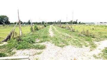 Plot Area in  Plot at Sector 82 – for Sale