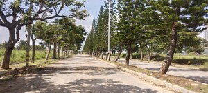  Plot For Sale in Chandapura