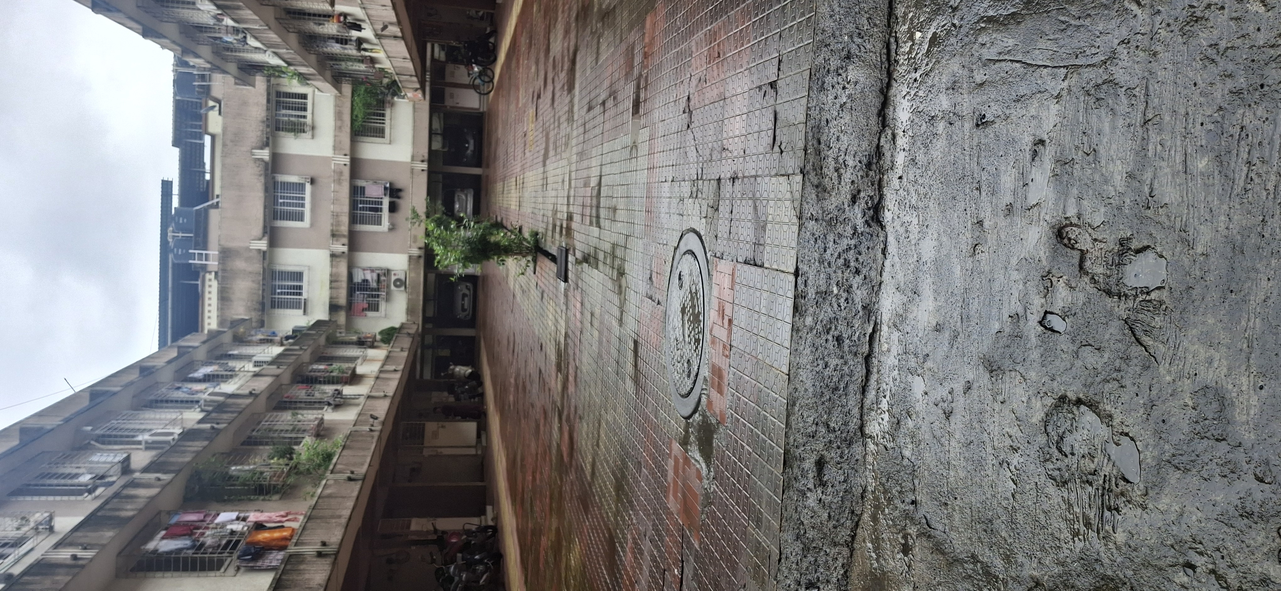 1 BHK Apartment For Rent in Koyna CHS Ghansoli