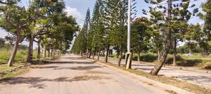 Plot Area in  Plot at Chandapura – for Sale