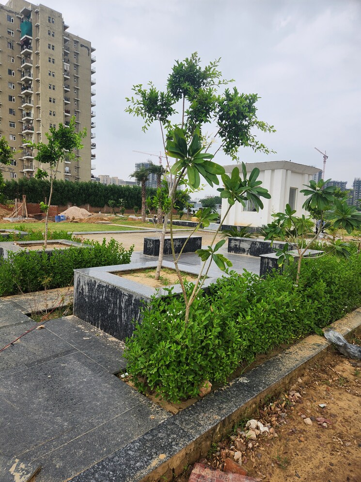 Garden, jms-the-pearl  127 Sq.Yd. Plot In Sector 95 Gurgaon 9159487