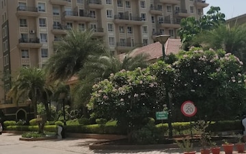 2 BHK Apartment For Rent in Nyati Ethos, Undri