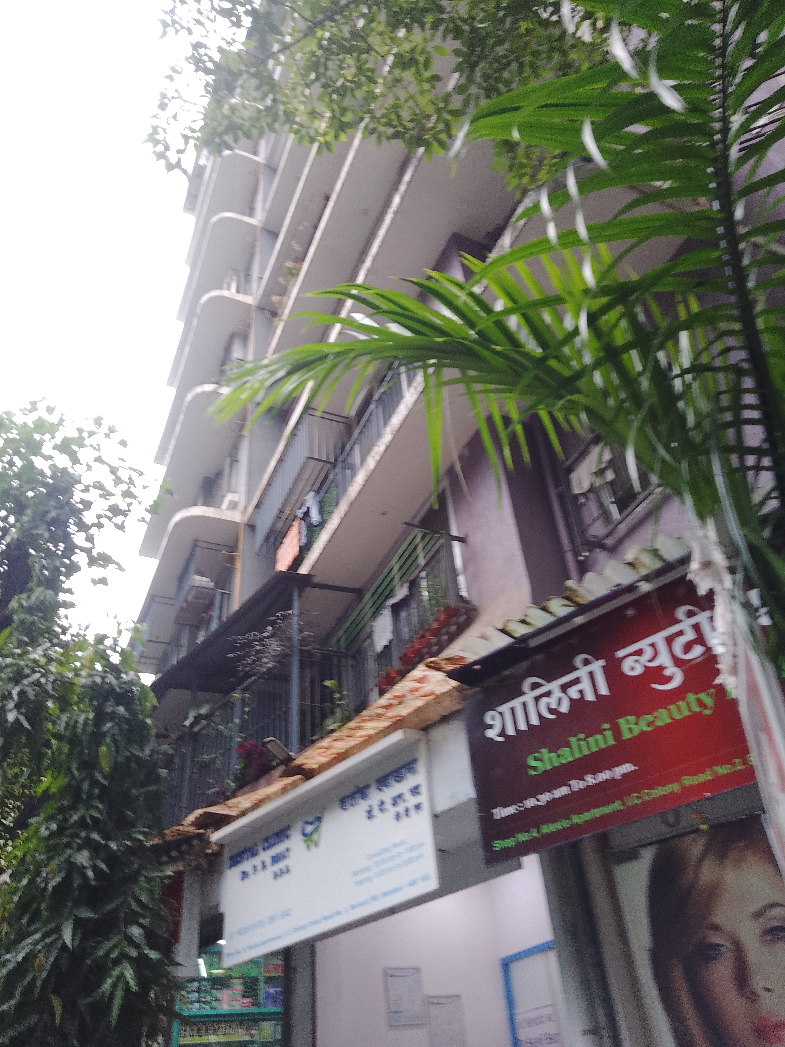 1 BHK Apartment For Rent in Mamtora Alexio Apartment