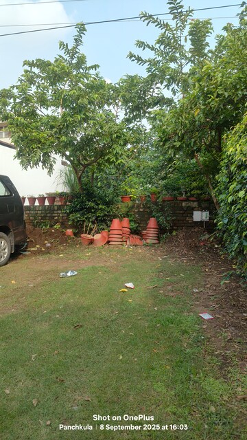  Plot For Sale in Sector 6