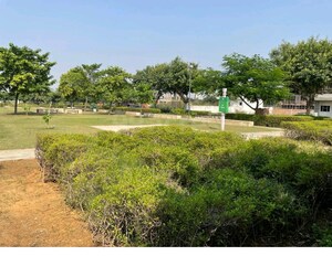 Plot Area in  Plot at Emaar Emerald Hills Phase 2, Sector 65 – for Sale