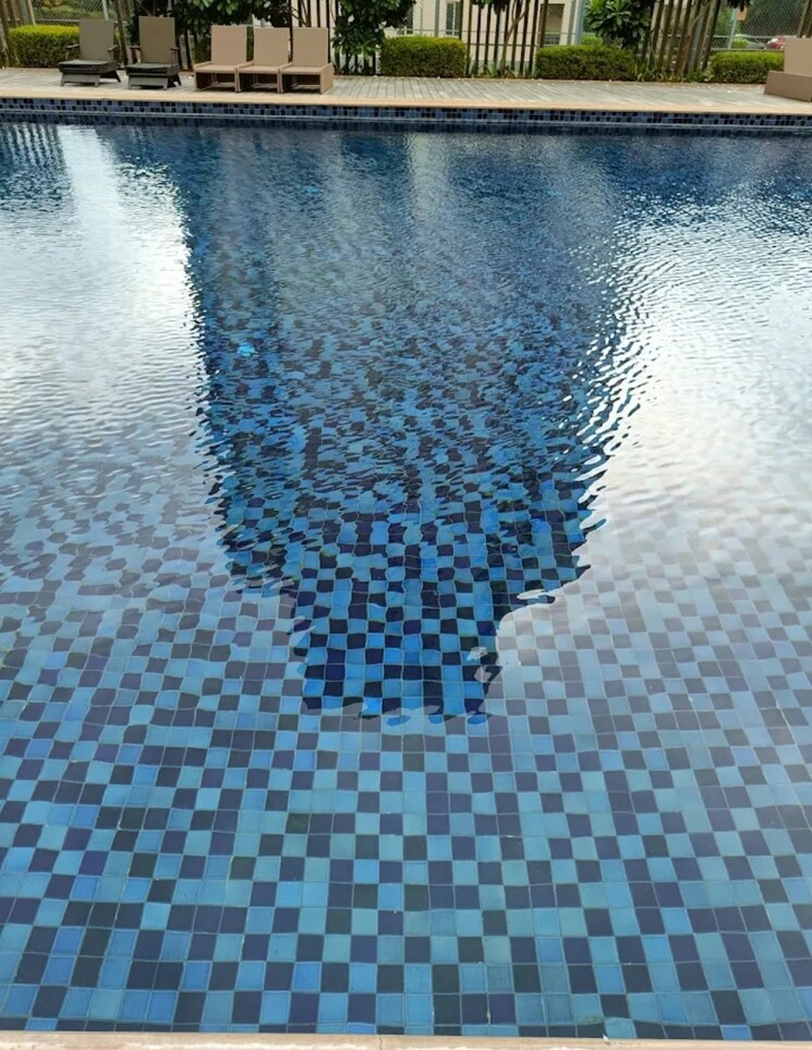 Swimming Pool, godrej-aria 3 Bedroom 1983 Sq.Ft. Apartment In Sector 79 Gurgaon 9160045