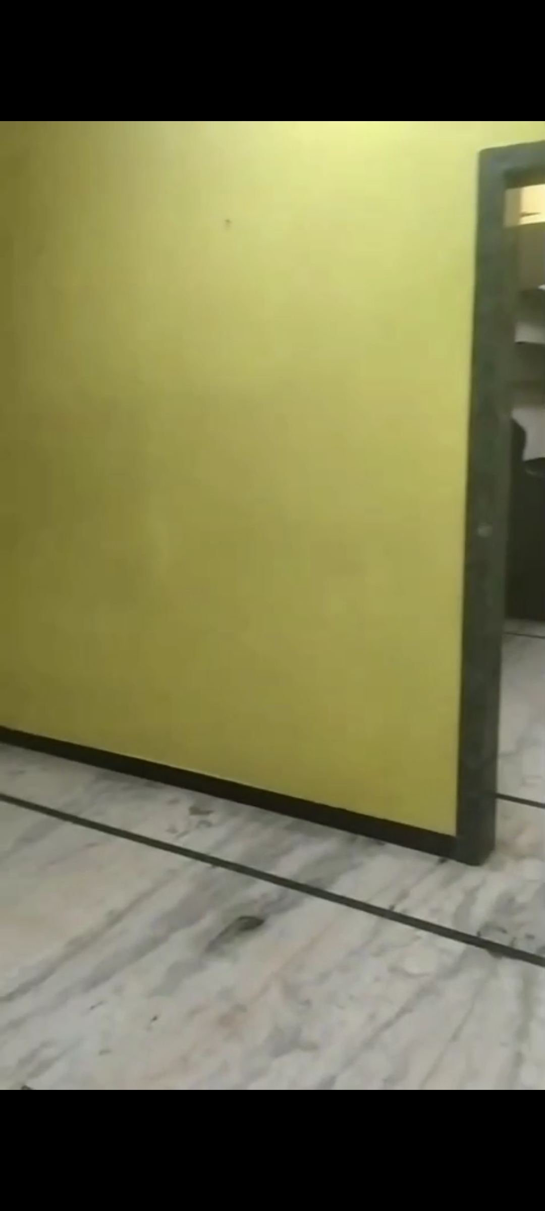 1 RkApartment For Rent in Vighnaharta Society