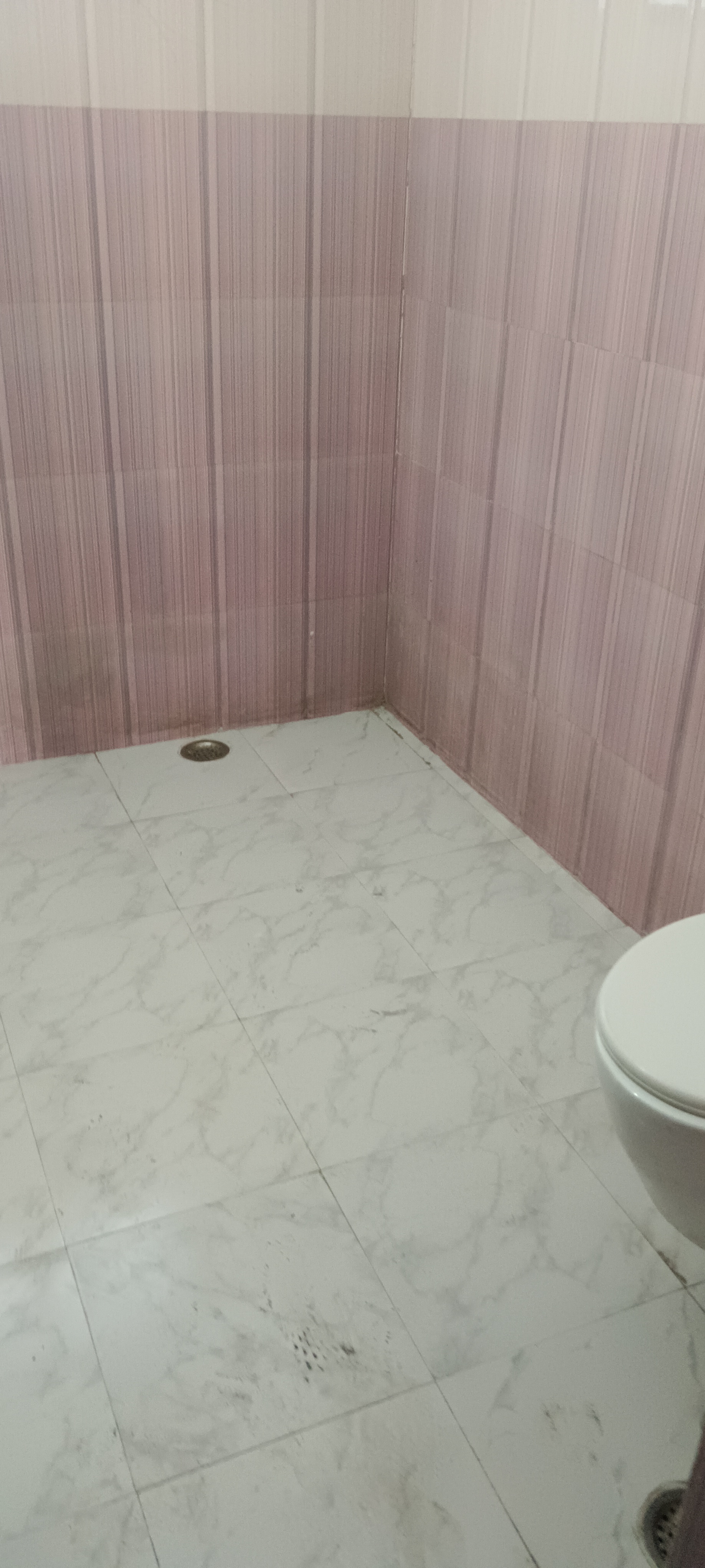 1 BHK Builder Floor For Rent in Sector 9