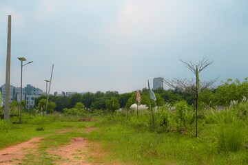 Plot Area in  Land at Patia – for Sale
