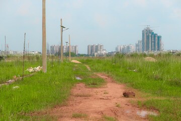 Plot Area in  Land at Patia – for Sale