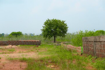 Land For Sale in Patia