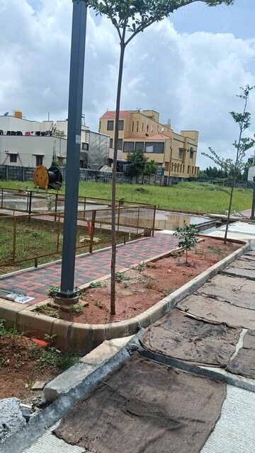 Plot – Exterior View View at Marsur - for Sale