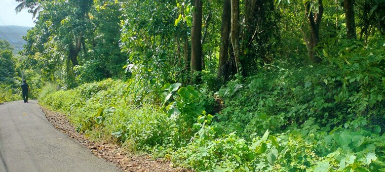 Garden, athani  43562 Sq.Ft. Plot In Athani Thrissur 9160880