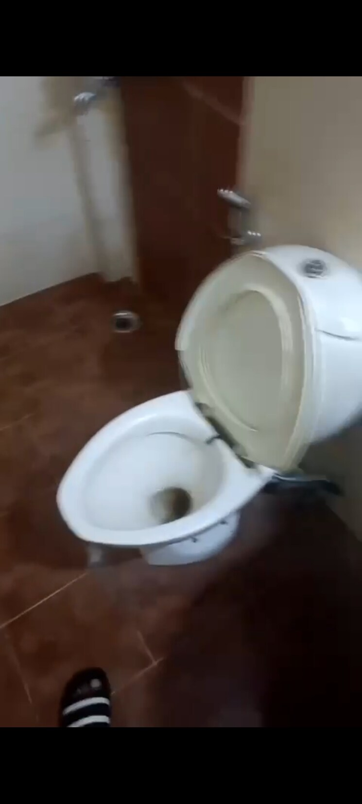 Bathroom, chittaranjan park 2 Bedroom 100 Sq.Yd. Builder Floor In Chittaranjan Park Delhi 9161075