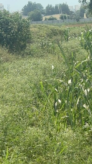 Plot Area in  Plot at Kunchanapalli – for Sale