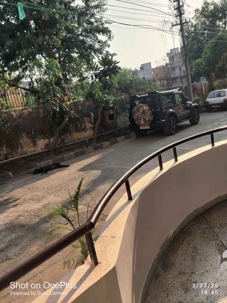 Exterior View, panchkula urban estate 2 Bedroom 1145 Sq.Ft. Apartment In Panchkula Urban Estate Panchkula 9161303