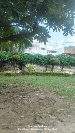  Plot For Sale in Sector 7