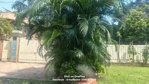 3 BHK Villa For Sale in Sector 6