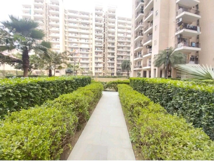 Exterior View, signature-global-andour-height 2 Bedroom 514 Sq.Ft. Apartment In Sector 71 Gurgaon 9161674