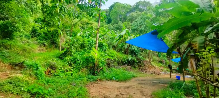 Garden, athani  43562 Sq.Ft. Plot In Athani Thrissur 9160880