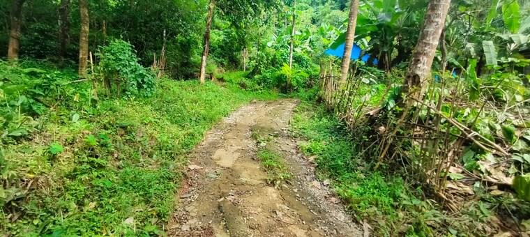 undefined, athani  43562 Sq.Ft. Plot In Athani Thrissur 9160880