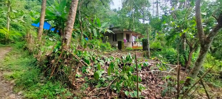 Exterior View, athani  43562 Sq.Ft. Plot In Athani Thrissur 9160880